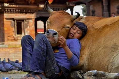 Slideshow 37